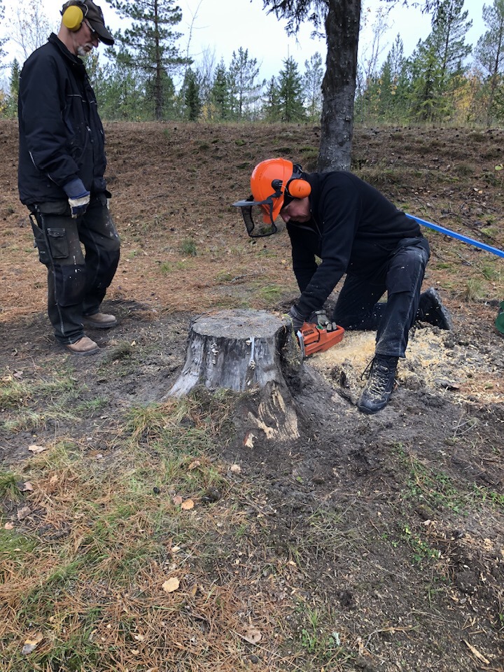 Förbereder Stubb Fräsning